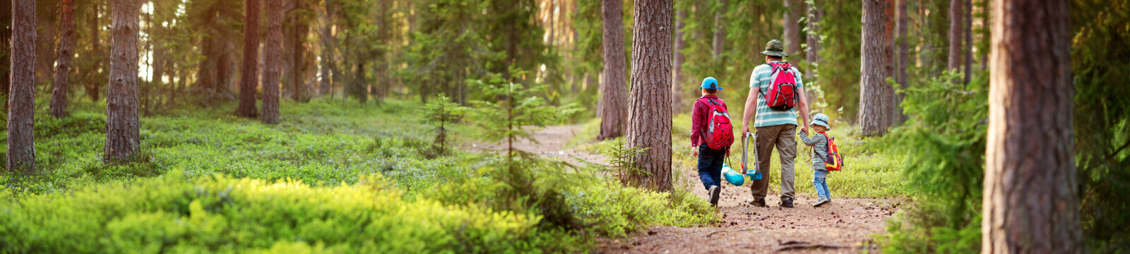 Parent and two young kids walking on a path in a large forest